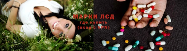 спиды Абинск