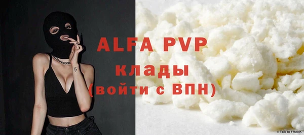 дурь Няндома
