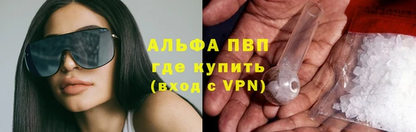 гашик Алексин