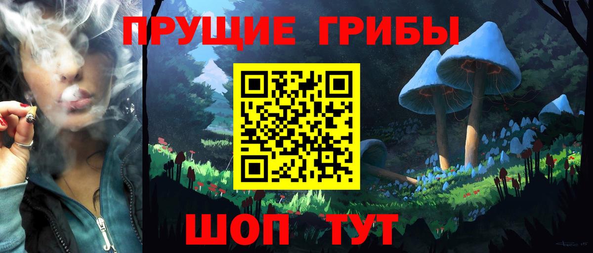 закладка  Вход с VPN  Галлюциногенные грибы ЛСД  Барнаул  Галлюциногенные грибы Psilocybe 