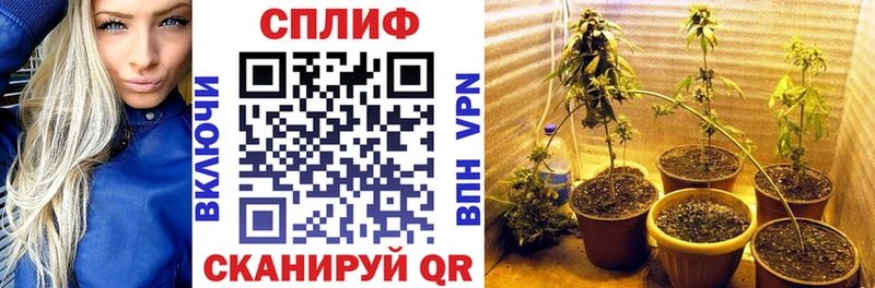 МАРИХУАНА индика  mega ТОР  Барнаул 